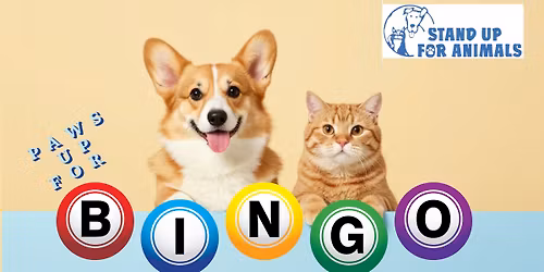 Paws Up For Bingo