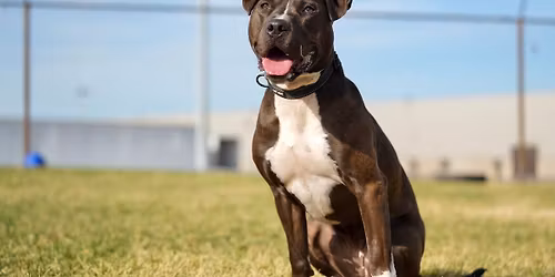 Pop-Up Shop At King's Harvest