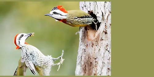 Book Launch with Paul Bannick