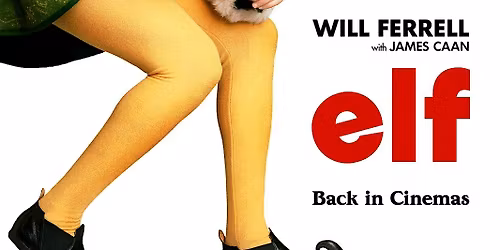 Elf at The Cathedral