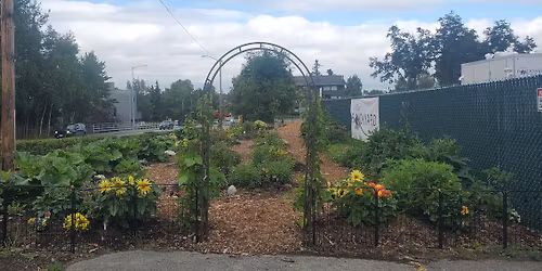 In Our Backyard Garden Project Day