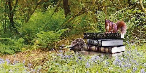 Adventures in nature - fables and tales