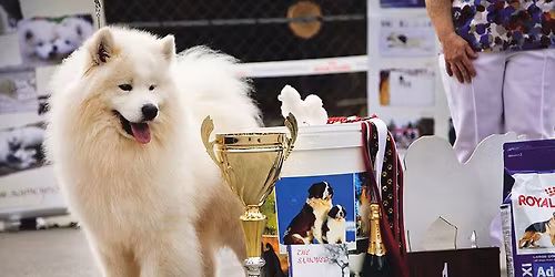 20 rokov spolu - \u0160peci\u00e1lna a Klubov\u00e1 v\u00fdstava 2026