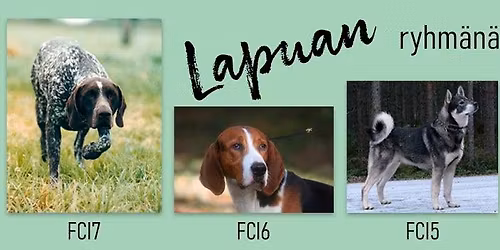 Lapuan ryhm\u00e4n\u00e4yttely 9.5.2026\n