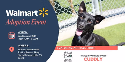 Walmart Adoption Event | North Richland Hills, TX