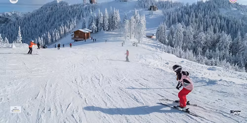 Excursie 1 zi Sanius la Poiana Brasov - de la 149Lei