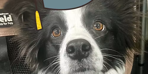 January 2026 class session begins