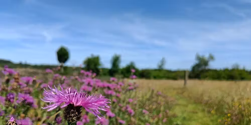 Spring into Foxglove Gala Day