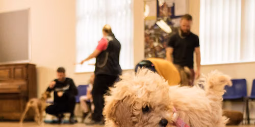 Puppy Foundation Course