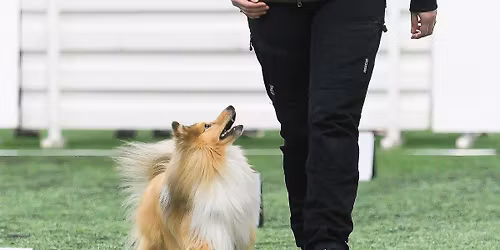 Dobbelt aften begynderpr\u00f8ve 