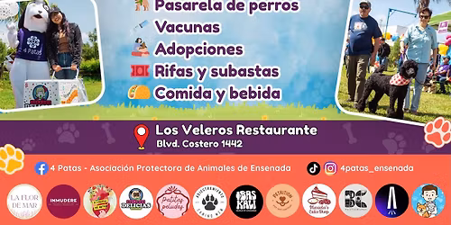 Festival de las Patitas Felices \ud83d\udc3e