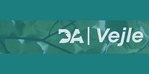 [Vejle]: Hybrid Social Gathering