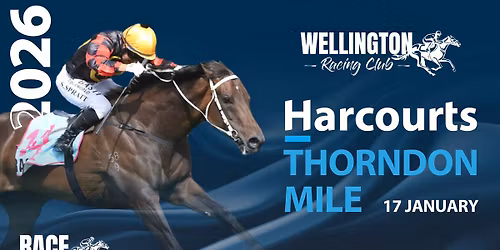 Harcourts Thorndon Mile Family Day