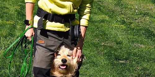 IV SANDOMIERSKI DOGTREKKING WIŚNIOWY :)