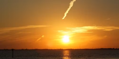 Sunset Dolphin Beach Walk