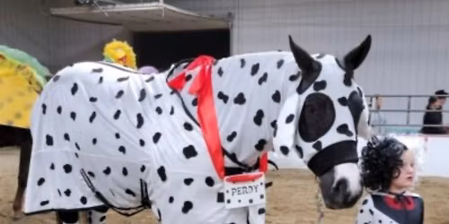 Horse Show