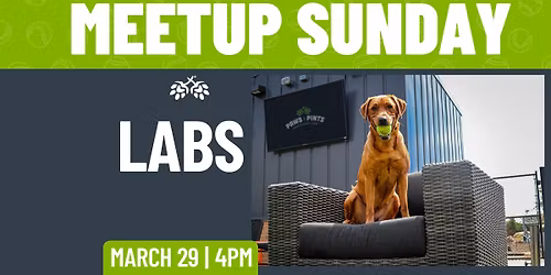 Lab Meetup