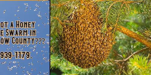 Monthly Beekeepers Meeting 