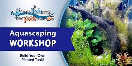 Aquascaping Workshop: Create an Underwater Garden!
