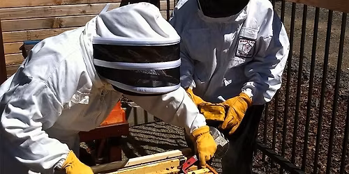 Beginners' Practical Course