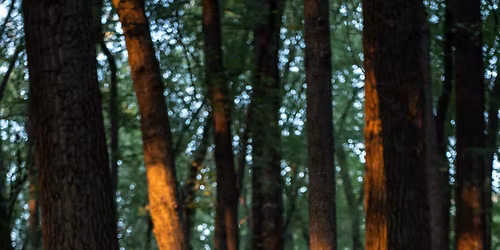 Kayleigh's Grad Party