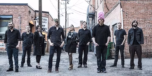 Pinky and the Floyd - Pink Floyd Tribute