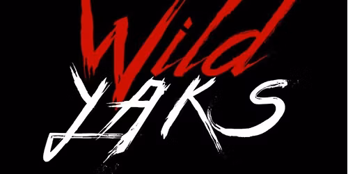 Wild Yaks at The Excelsior Hotel