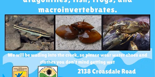 2026 Creek Creatures Program at Cherry Valley National Wildlife Refuge