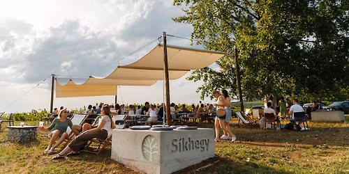 T\u00d3TH\u00c9K - Piknik a S\u00edkhegyen