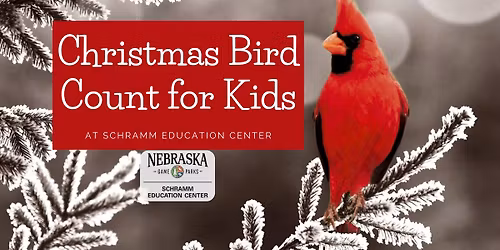 Christmas Bird Count for Kids