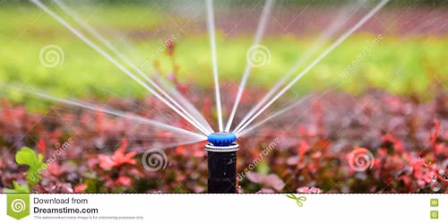Annual ERRCA Irrigation Blowout