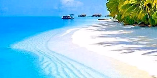 Aloha Jazz Festival,  Honolulu, Hawai'i August 29-23, 2026