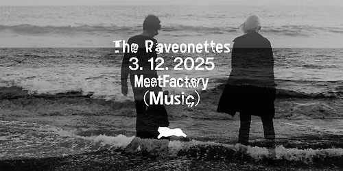The Raveonettes