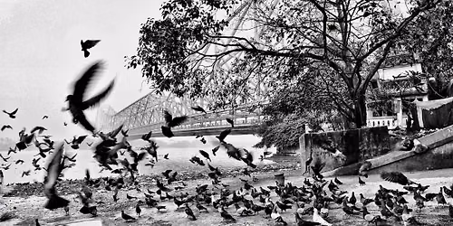 Petals, People & Perspectives - Photo Walk along the Ghats