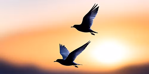 Durufl\u00e8: Requiem. Beethoven: Symfoni nr 5