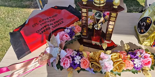 Qld Pinto Horse Assoc 47th Qld State Championships Show