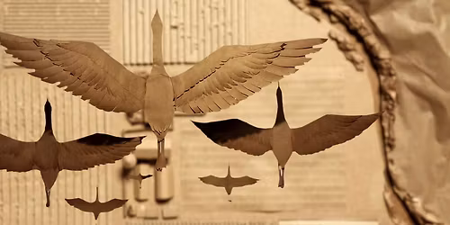 Robin Frohardt: Shopping Center of the Universe