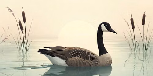 Watercolour Art Class: Canada Goose