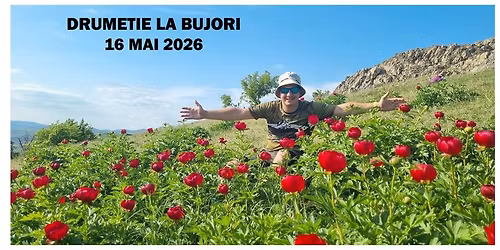 Drume\u021bie la bujori \u00een sudul M\u0103cinului cu Andinio Travel