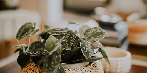 Radical Release Yoga