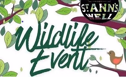 Walk and Draw with Shelley Morrow