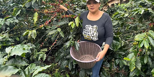 Fairtrade Producer Community Talks