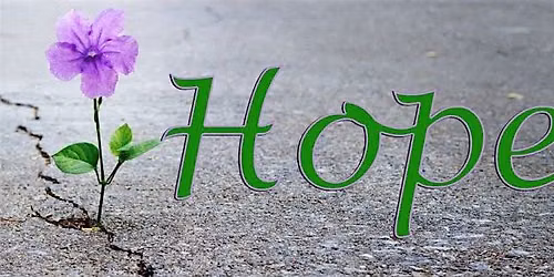 Hope Again: Holding What Hurts, Honoring What Heals