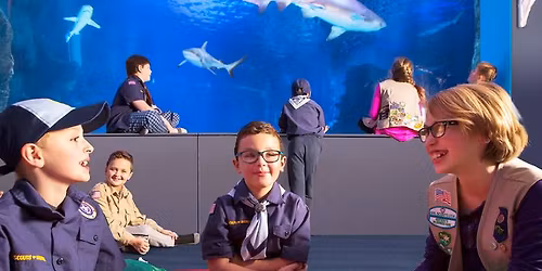 Scouts Honor Weekend