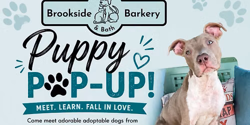 Brookside Barkery & Bath Puppy Pop-Up!