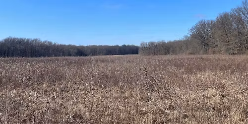 Sharon Woods Invasive Plant Removal at Annehurst Connector Trail
