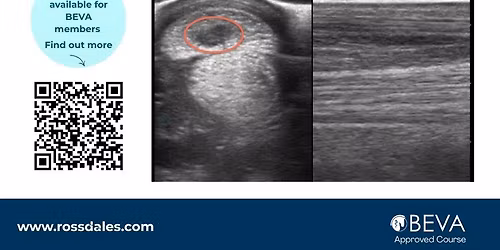 Musculoskeletal Ultrasound Course