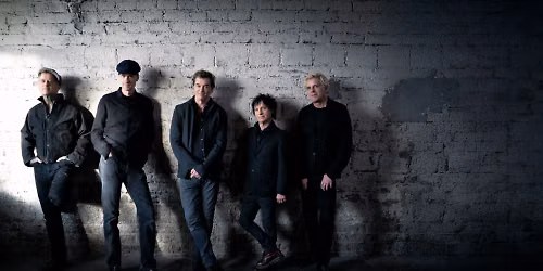 Die Toten Hosen in Mannheim