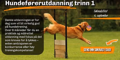 Hundef\u00f8rerutdanning trinn 1
