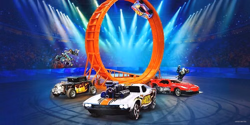Hot Wheels Stunt Show